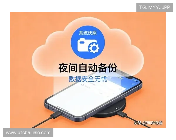 体育真人盘口安全保障措施详解确保玩家个人信息与资金安全无忧